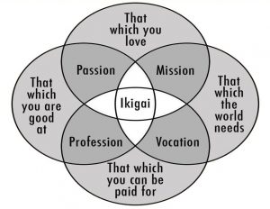 What's your Ikigai ?